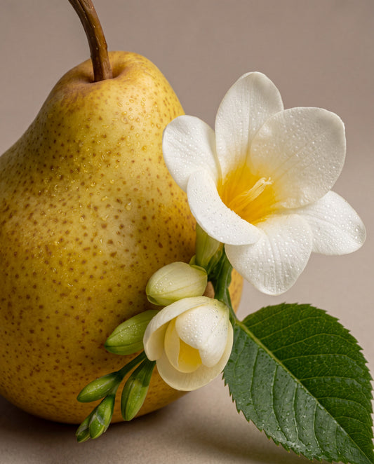 Notas de Pear & Freesia Bloom: uma pera madura com flores brancas de frésia