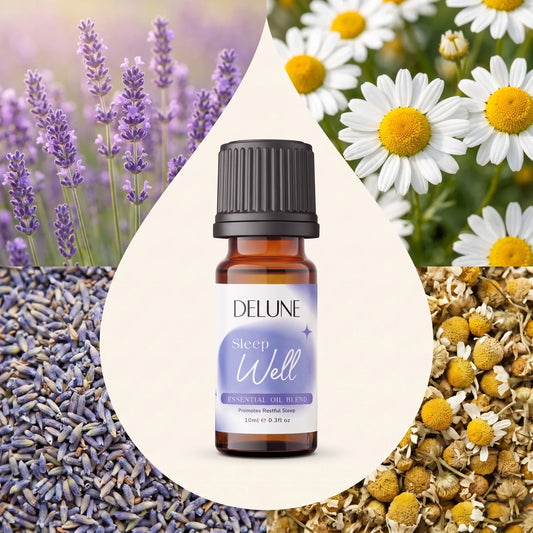 Blend de óleos essenciais Sleep Well Delune cercado pelos ingredientes: lavanda e camomila frescas e secas