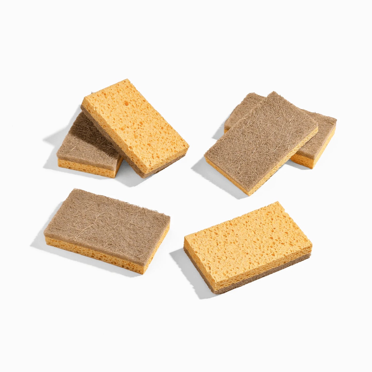 Esponjas de cozinha à base de plantas