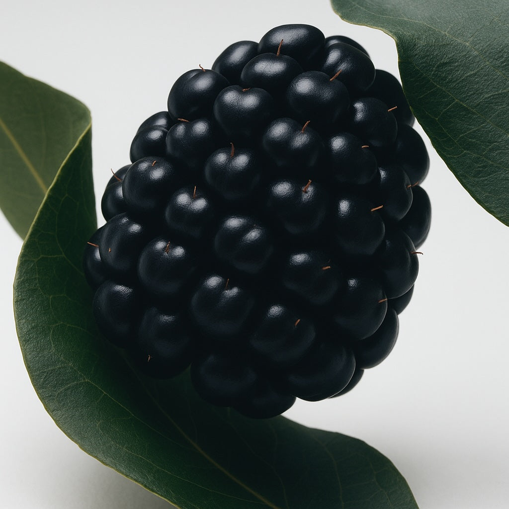 Bramble & Blackberry - Sabonete em Barra