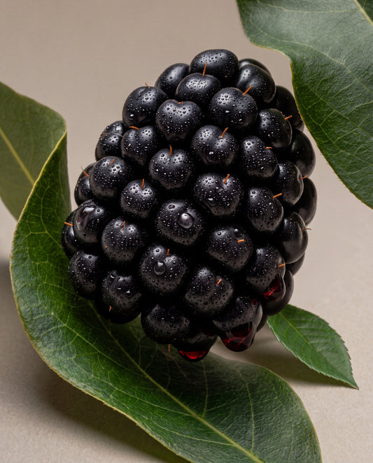 Notas de Bramble & Blackberry: uma amora madura entre folhas de amoreira