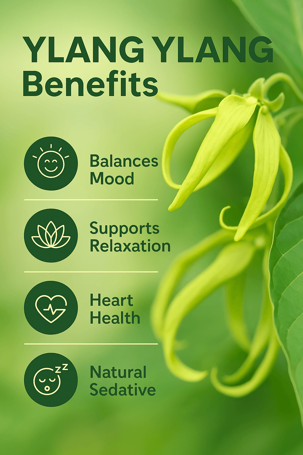 Óleo Essencial Puro de Ylang Ylang
