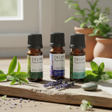 Pacote Trio de Óleos Essenciais Daily Go-To - Conjunto com 3 unidades