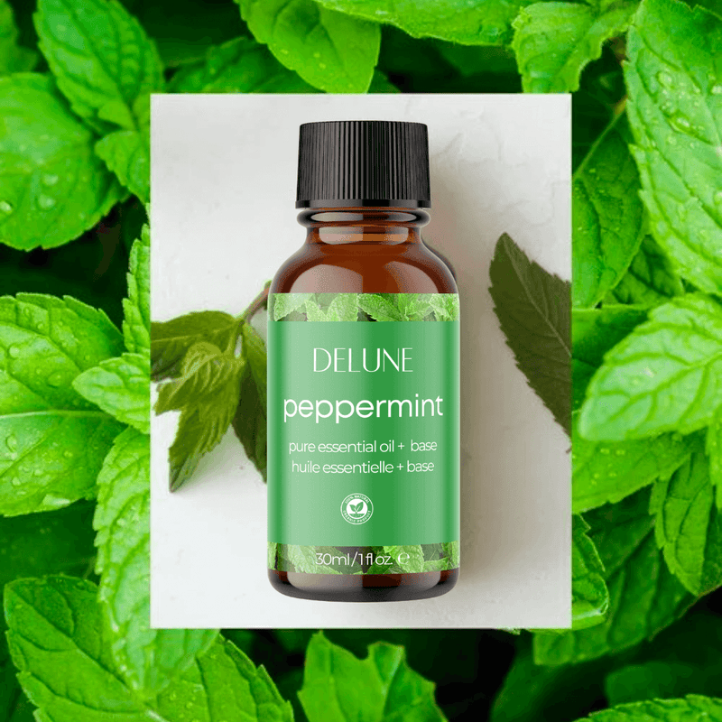 Peppermint Essential Oil + Base - Delune 