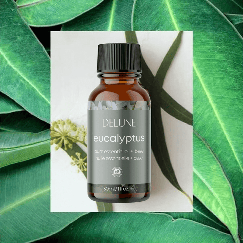 Eucalyptus Essential Oil + Base - Delune 