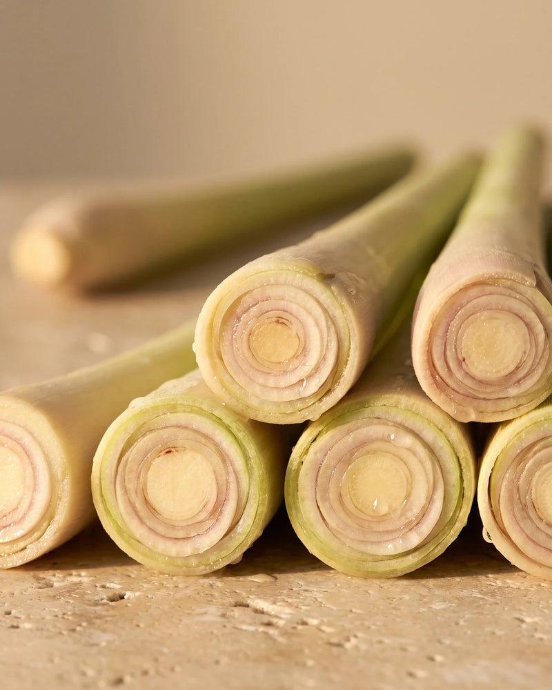 Talos de capim-limão recém-cortados, com seus anéis concêntricos claros, sob luz quente — o aroma cítrico e luminoso do Óleo essencial puro de capim-limão Delune