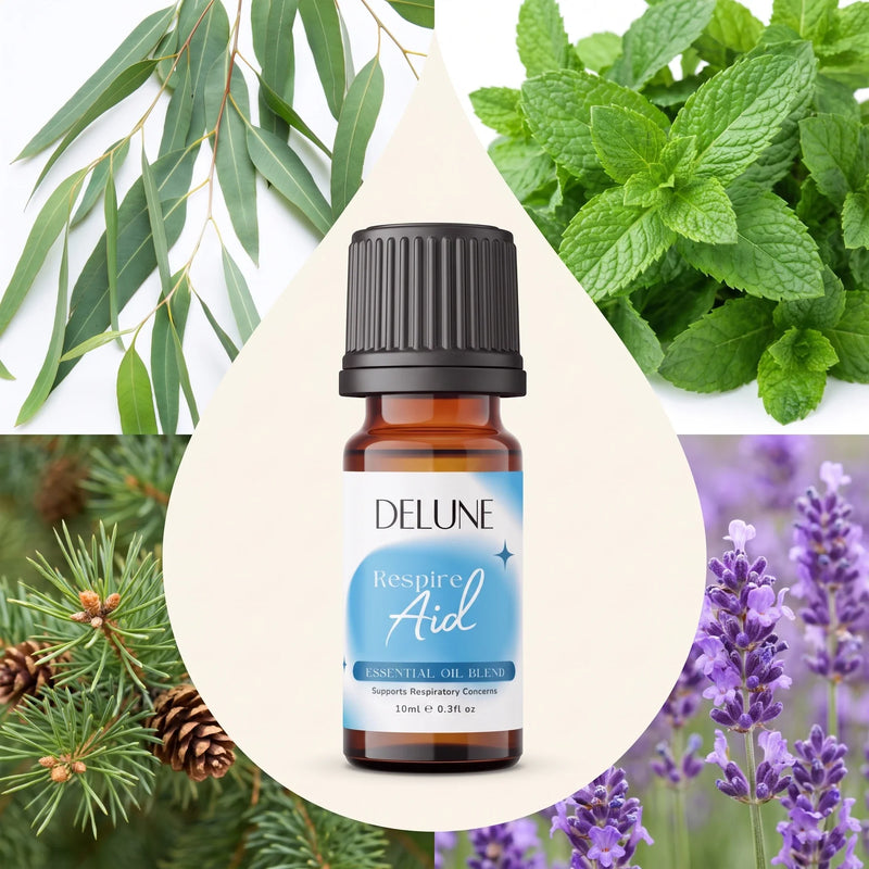 Blend de óleos essenciais Respire Aid Delune cercado pelos ingredientes: eucalipto, menta, pinho e lavanda