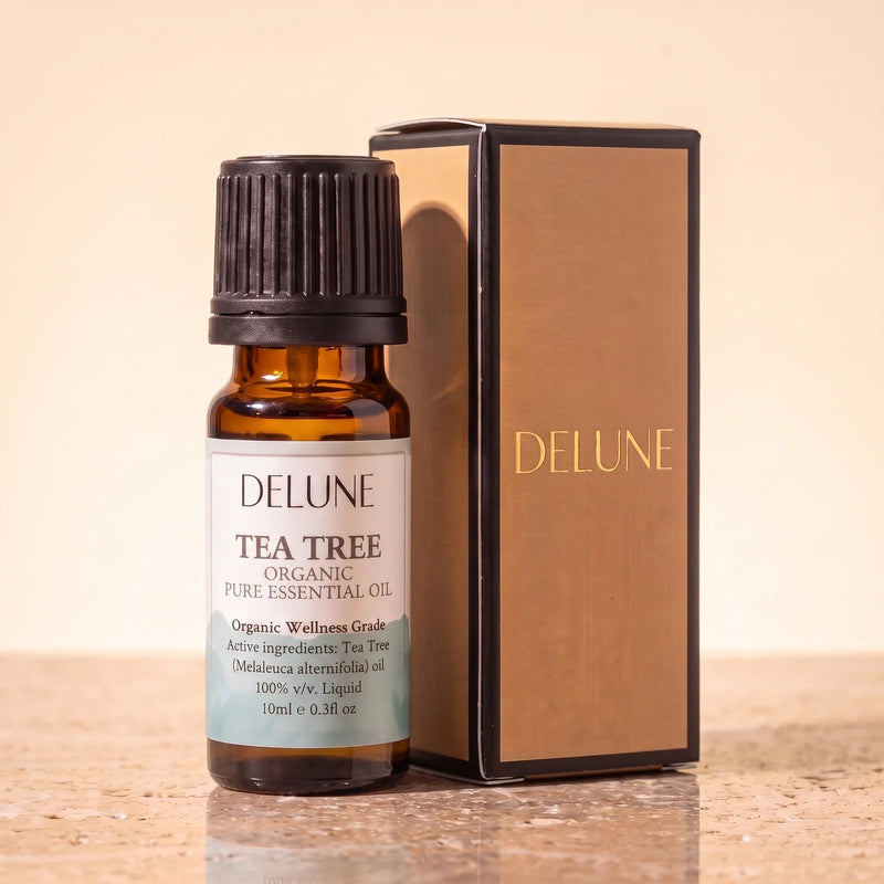 Óleo essencial orgânico de melaleuca Delune, frasco âmbar de 10 ml com a caixa de presente dourada Delune sobre travertino quente