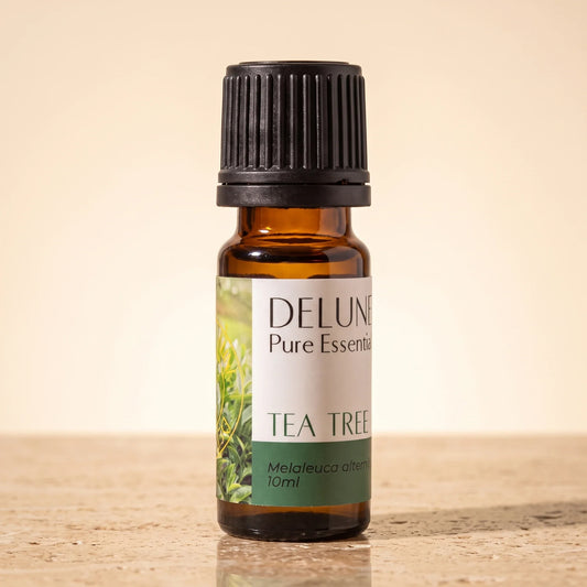 Óleo essencial puro de melaleuca