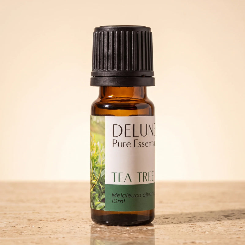 Óleo essencial puro de melaleuca Delune, frasco âmbar de 10 ml sobre travertino quente