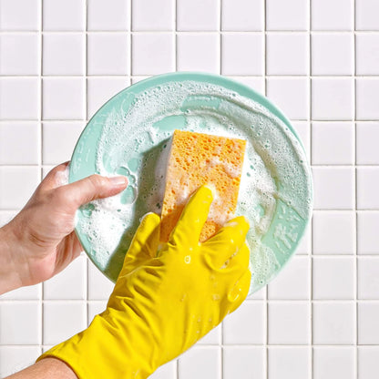 Esponjas de cozinha à base de plantas